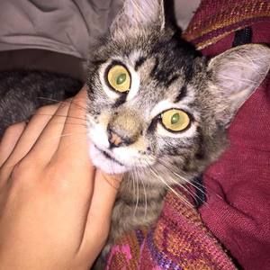 Meet your Posher, Selena